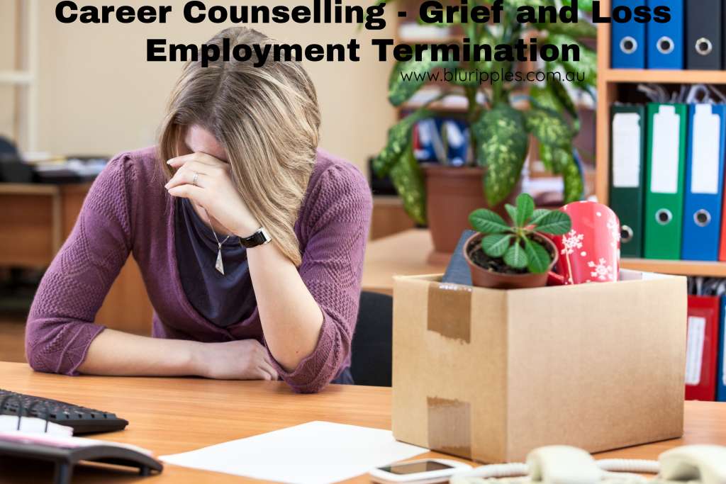 Career Counselling   Utilise the Grief and Loss Model SARA to help you navigate and successfully transistion through the emotional journey of employment termination and separation termination and separation Author Katherine Foster Blu Ripples