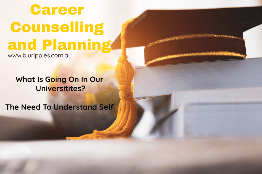 Career Counselling and Career Planning   Blu Ripples Author Katherine Foster